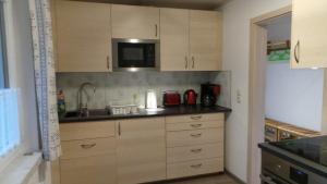 Kuchyň nebo kuchyňský kout v ubytování Fewo Am Skihang Eg