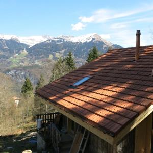 ein Dach eines Hauses mit Bergen im Hintergrund in der Unterkunft Wollhaus Oberzwirgi 6-Bettwohnung in Rohrmatten