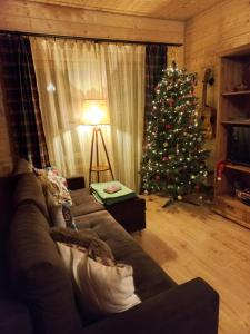 a living room with a christmas tree and a couch at Domek Sol Wilcza Zagroda in Kudowa-Zdrój