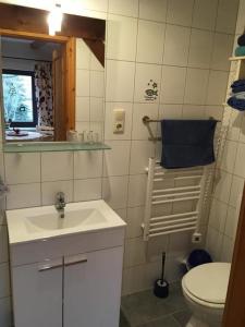 ein Badezimmer mit einem weißen Waschbecken und einer Toilette in der Unterkunft Ferienwohnung Kastanienblick - b55555 in Ziethen