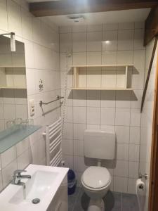 ein Badezimmer mit einer weißen Toilette und einem Waschbecken in der Unterkunft Ferienwohnung Kastanienblick - b55555 in Ziethen