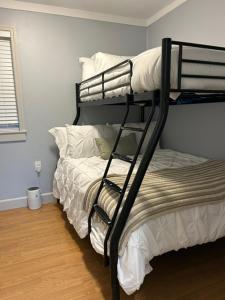 圣巴巴拉Goodland Green House的一间带两张双层床的卧室