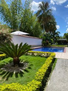 a garden with a palm tree and a swimming pool at Finca Hotel Villa Nieves in Tuluá