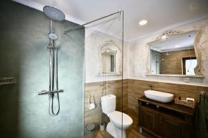 a bathroom with a shower and a toilet and a sink at Stella Guesthouse in Arbanasi +37 photos