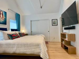 ein Schlafzimmer mit großem Bett und Flachbildfernseher in der Unterkunft Cozy King Suite w/Coffee Bar + Walkable to Mass St in Lawrence