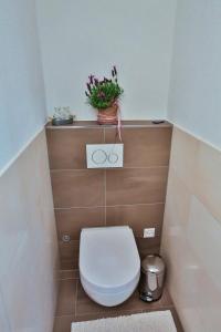 a bathroom with a toilet with a plant on a shelf at Weiherhof in Wildhaus