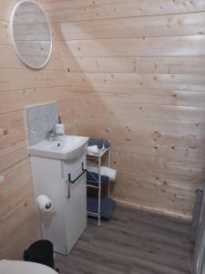a bathroom with a sink and a mirror at Mountain View in Tipperary