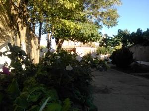 Jardín al aire libre en Fuerte de San Mauricio