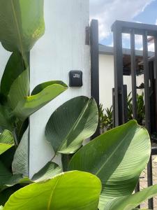 a meter on the side of a house with plants at Tranquil 2BR Villa, Near Canguu and Pererenan in Tumbak Bayuh