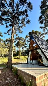 a glass house with a tree in the background at Chalé Araucárias Cambará do Sul in Cambara do Sul