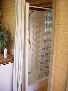 a shower in a bathroom with a shower curtain at Log Cabin in the Loire Valley in Ambillou-Château
