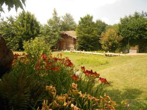 a garden with flowers in front of a log cabin at Log Cabin in the Loire Valley in Ambillou-Château