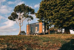 a tiny house sitting in a field next to a tree at Tiny House Big View X Boneo by Tiny Away in Cape Schanck