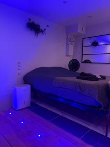 ein Schlafzimmer mit einem Bett mit blauem Licht in der Unterkunft Love 2 avec Jacuzzi in Cap d'Agde