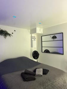 ein Schlafzimmer mit einem Bett und einem Spiegel an der Wand in der Unterkunft Love 2 avec Jacuzzi in Cap d'Agde