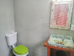 a bathroom with a green toilet and a wooden table at Zelenaiplava dormis in Merlo