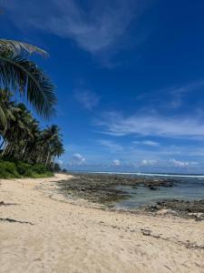 einen Sandstrand mit Palmen und dem Meer in der Unterkunft CIELO Siargao in General Luna