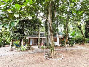une maison avec des arbres devant elle dans l'établissement Villas Guaitil Cozy Jungle Hideaway in Playa Chiquita, à Puerto Viejo