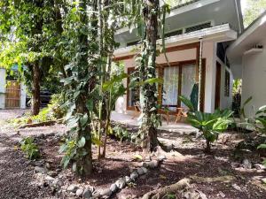 une maison avec des arbres devant elle dans l'établissement Villas Guaitil Cozy Jungle Hideaway in Playa Chiquita, à Puerto Viejo 1 autre photo