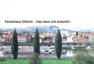 a city with a river and trees and buildings at Ferienhaus In Pirna Mit Schöner Terrasse in Pirna