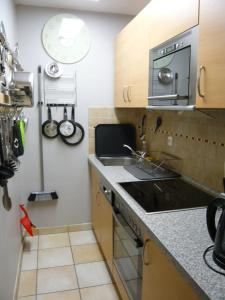 Kuchyň nebo kuchyňský kout v ubytování Sonnenbichl Wh 201 + 8 fotografií