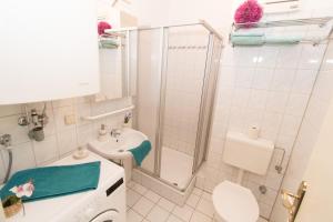 a bathroom with a shower and a sink and a toilet at Apartment Wichtelgasse in Vienna