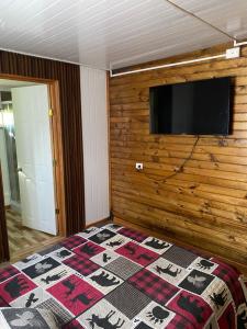 科尔文Las palmeras de Colbún的一间卧室设有一面墙、一台电视和一张床