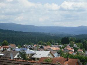 une ville avec des maisons et des montagnes en arrière-plan dans l'établissement Ferienwohnung Nationalparkblick, à Spiegelau