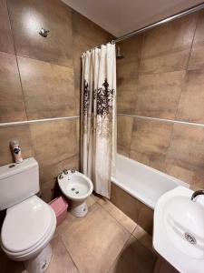 een badkamer met een toilet, een wastafel en een douche bij Lobos de Mar IV in Ostende