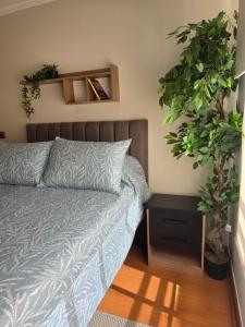 una camera con un letto e due piante in vaso di Providencia Hermoso depto de 2 Dorm 2 B wifi y parcking Gratis a Santiago