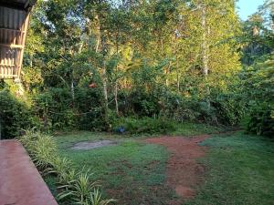 ein Garten mit einem unbefestigten Weg vor Bäumen in der Unterkunft Relax home in Kegalle