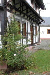 Aed väljaspool majutusasutust Romantisches Fachwerkhaus Zwischen Rhein Und Mosel