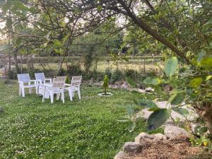 un groupe de chaises blanches assises dans l'herbe dans l'établissement The Founder's Tribe, à Bir