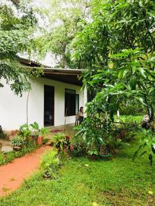 Zahrada ubytování Paddy Field view Lodge Sigiriya