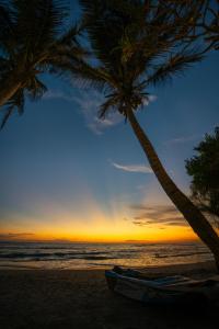 a boat on the beach with two palm trees at LIYA BEACH- Luxury Boutique Hotel in Ahangama in Ahangama