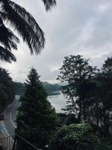 Una vista de un río y un camino con árboles. en Chillwind Service villa, en Padinjarathara