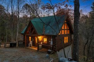 赛维尔维尔Rustic Retreat的绿色屋顶的树林小屋