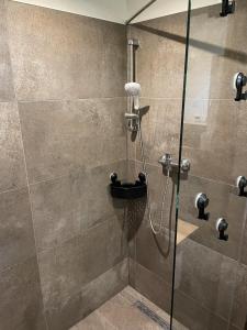 a shower in a bathroom with a glass door at Tolles Ferienhaus In Altwarp Mit Garten in Altwarp +32 photos