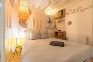 a bedroom with a large white bed in a room at Blois hypercentre, calme, charme avec terrasse in Blois