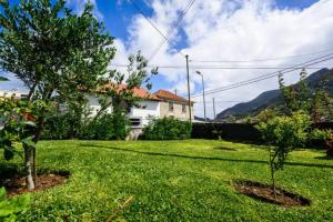 a yard with a house and a tree at Luxuriöses Haus Der Leidenschaft in Machico