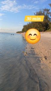 un frisbee sur la plage avec un visage souriant dans l'établissement Appartement vue mer, à Saint-Denis