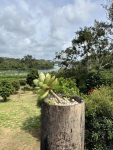 Φυσικό τοπίο κοντά σε αυτή η βίλα +10 φωτογραφίες