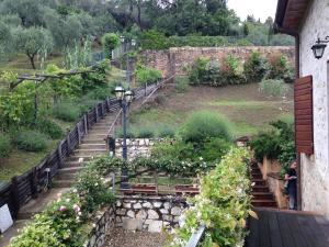 A garden outside Lady Frantoio Toscano