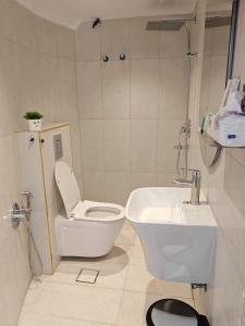 Vannituba majutusasutuses كوخ ايفانا +18 fotot