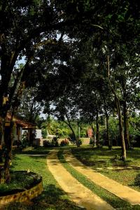 a dirt road in a yard with trees at The Ehela in Tangalle