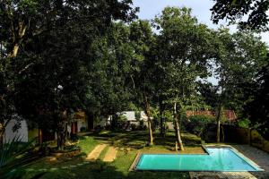 an empty swimming pool in a yard with trees at The Ehela in Tangalle
