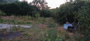 Φυσικό τοπίο κοντά σε αυτό το διαμέρισμα