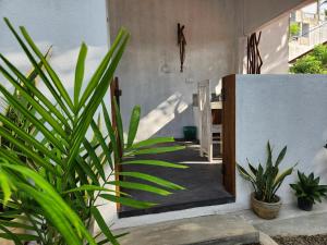 米瑞莎Five Mirissa Homestay的一栋房子，走廊前面摆放着植物