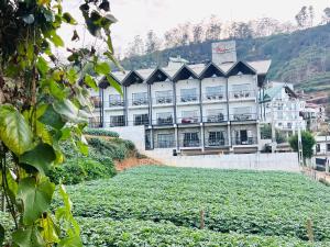 Příroda nedaleko hotelu