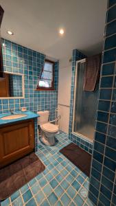 ein blau gefliestes Bad mit einem WC und einer Dusche in der Unterkunft Les Perles du Ried - Gîte 206 in Boofzheim